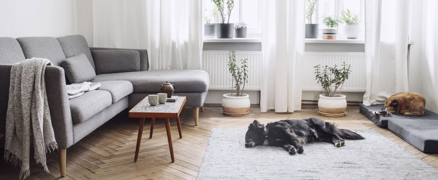 Image de fond recherche