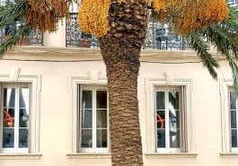 Agence Médicis Immobilier Neuf Toulon