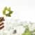 Effinature : un nouveau standard pour articuler immobilier neuf et biodiversité