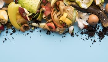 Existe-t-il une loi sur le compostage en copropriété ?