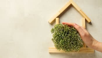 Immobilier neuf : vers un assouplissement de la RE2020 (Réglementation Environnementale 2020) ?