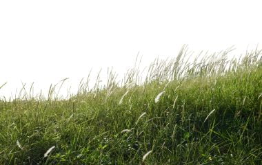Ardèche : des habitants impliqués dans la construction d’un parc éolien