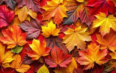 Comment aménager et décorer mon appartement neuf pour l'automne ? Un cocon douillet