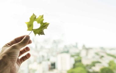 Effinature : un nouveau standard pour articuler immobilier neuf et biodiversité
