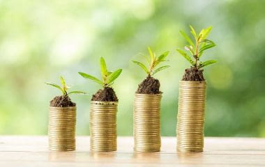 Logement neuf : entre économies et écologie