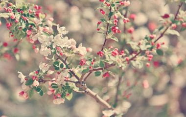 Prix de l’immobilier en France : tendances et bilan du printemps