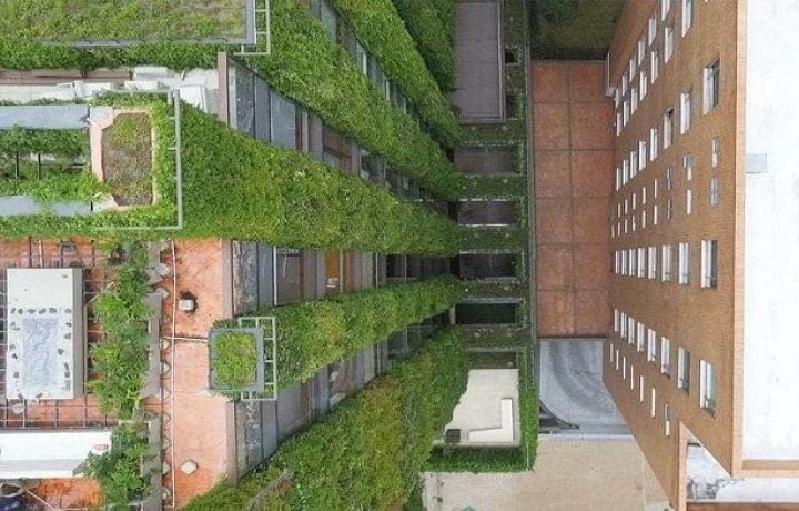À la découverte des jardins suspendus de Bogota