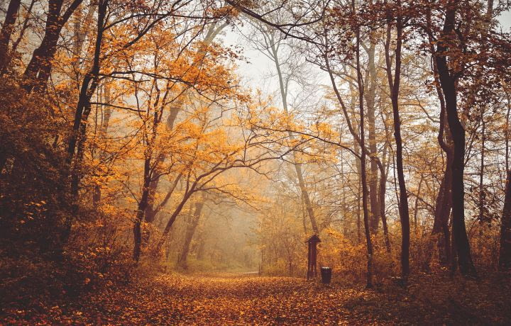 À la Une de l’automne de l’immobilier neuf