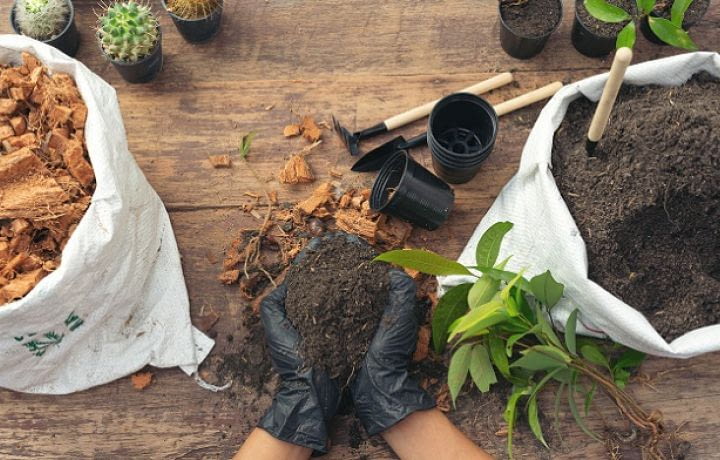 Aménager un jardin d'hiver pour un cocon 100% personnalisé