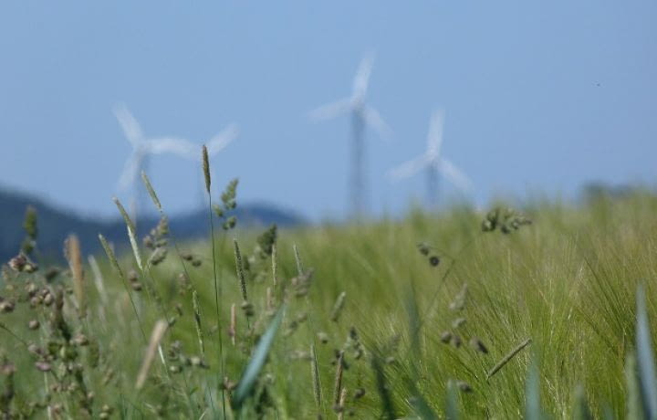 Ardèche : des habitants impliqués dans la construction d’un parc éolien