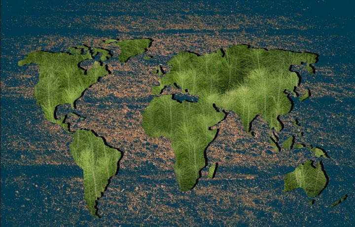 Éco-habitat : des immeubles dépolluants en Allemagne