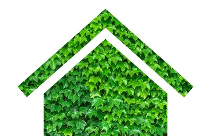 Eco-habitat : un ménage vert pour une maison écologique