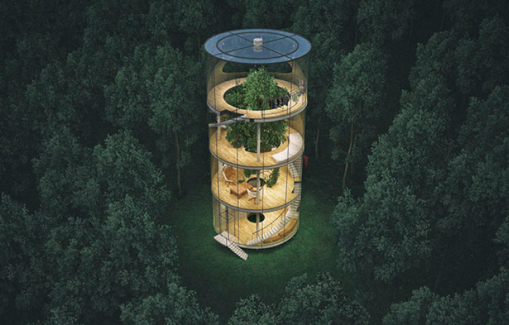 Éco-habitat : une maison dans les arbres au Kazakhstan