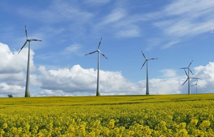 Énergie éolienne : une filière puissante en France