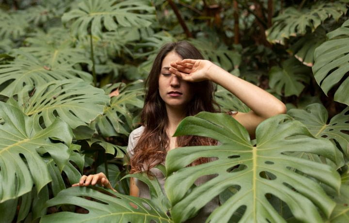 Excursion au cœur de la jungle mexicaine