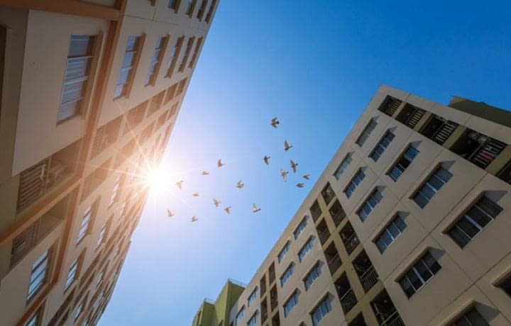 Loi Solidarité et Renouvellement Urbains (SRU) et immobilier neuf : un lien étroit