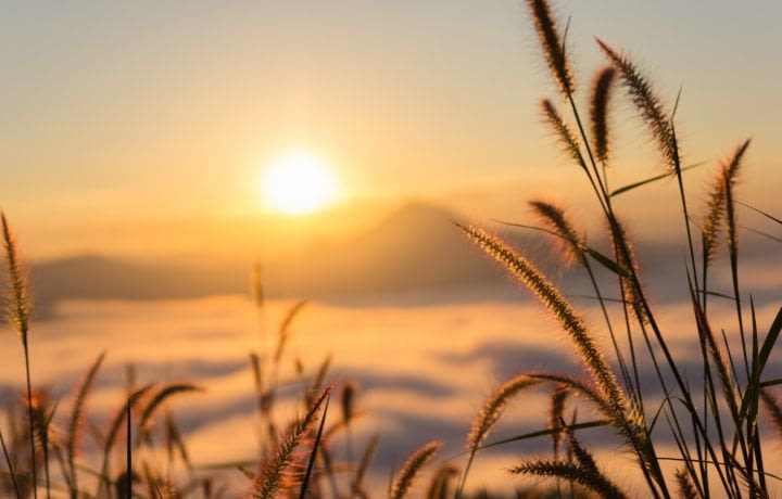 Secteur de l’environnement : les nouveautés de l’été