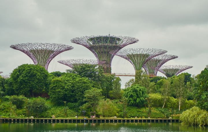 Singapour : quand une tour végétalisée absorbe la pollution urbaine