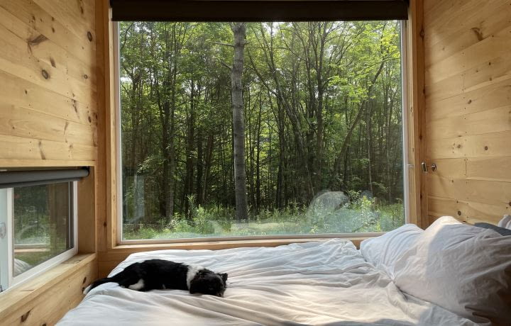 Treetop : une cabane dans les bois de 45 mètres de haut