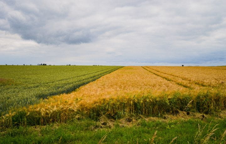 Viabilisation d’un terrain : démarches et coût à prévoir