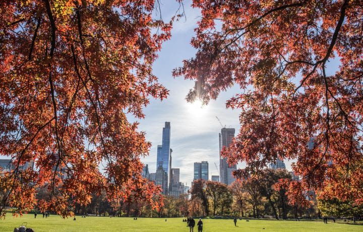 Vivre à Manhattan, un luxe au prix élevé