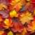 Comment aménager et décorer mon appartement neuf pour l'automne ? Un cocon douillet