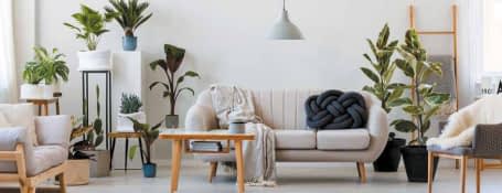 Magescq à 2 minutes à pied du Bourg