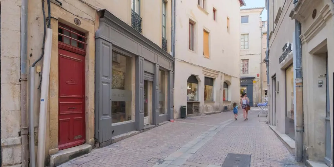 Nimes Malraux à 350m des Halles