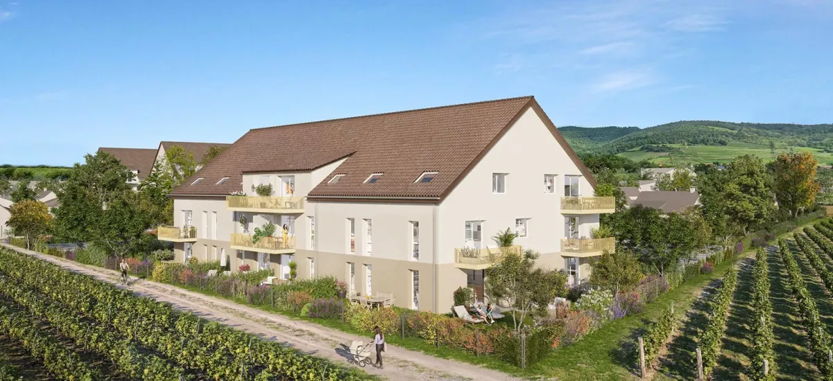 Wintzenheim un cadre calme à 10 minutes en voiture de Colmar
