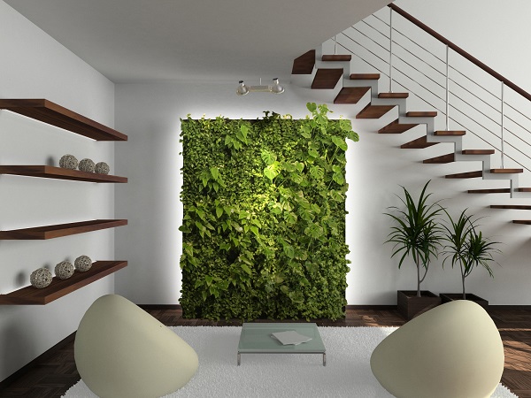 Le mur végétal, tendance esthétique et écologique à adopter chez soi