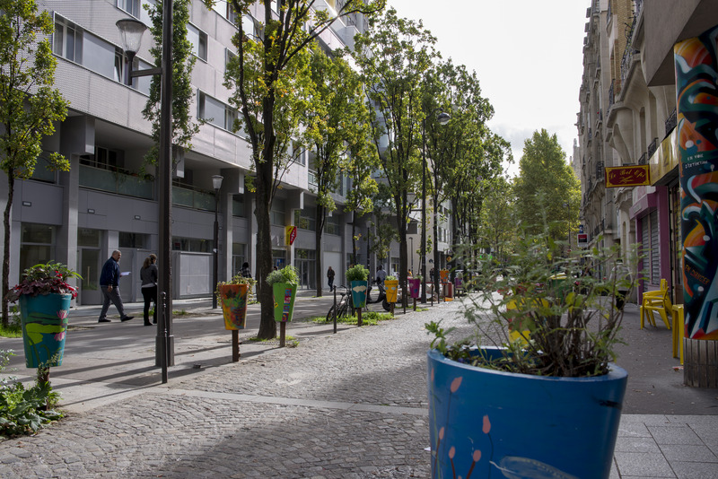 Permis de végétaliser accordé à Paris !